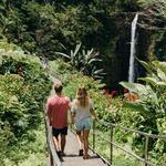 Akaka Falls State Park