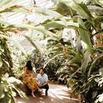 Rawlings Conservatory