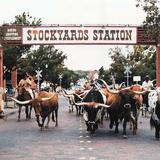 Fort Worth Stockyards Station