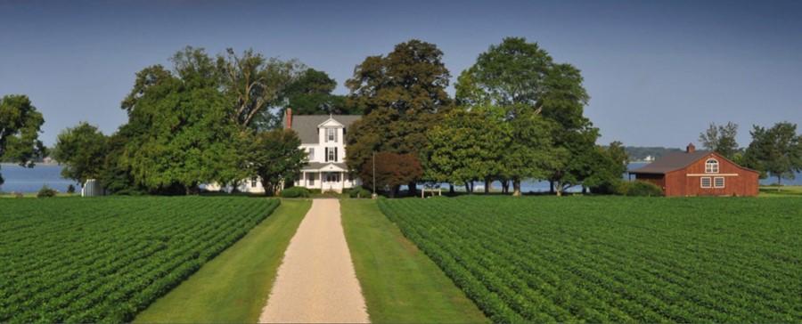 The Wedding Website of Amy Shearer and Ricky Williams