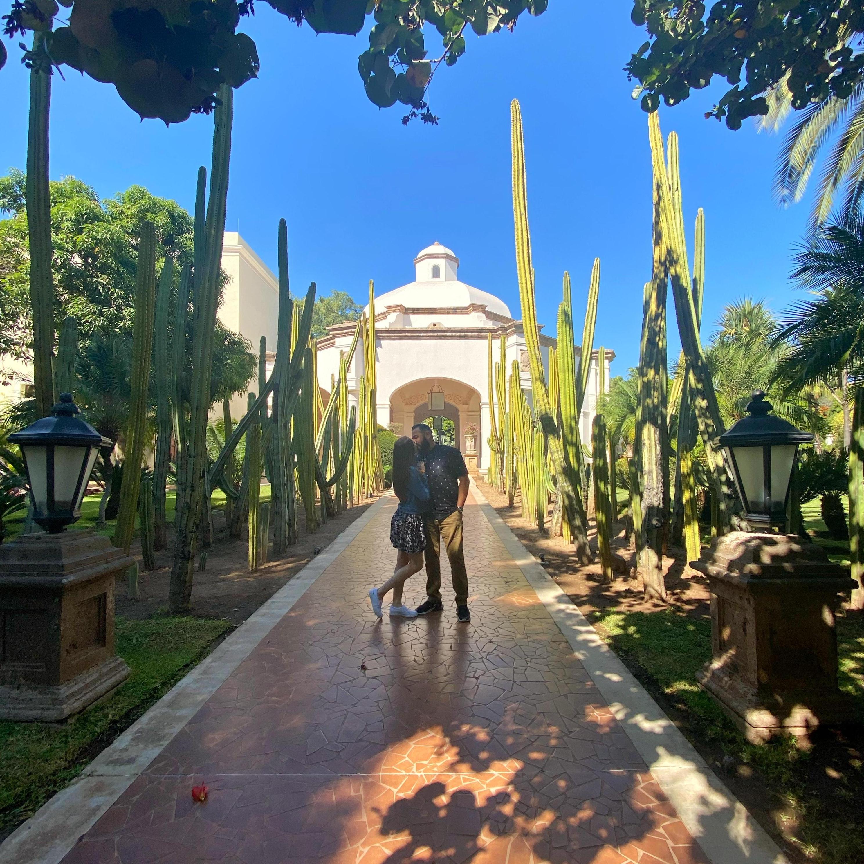 We fell in love with the incredible pueblo of Tequila