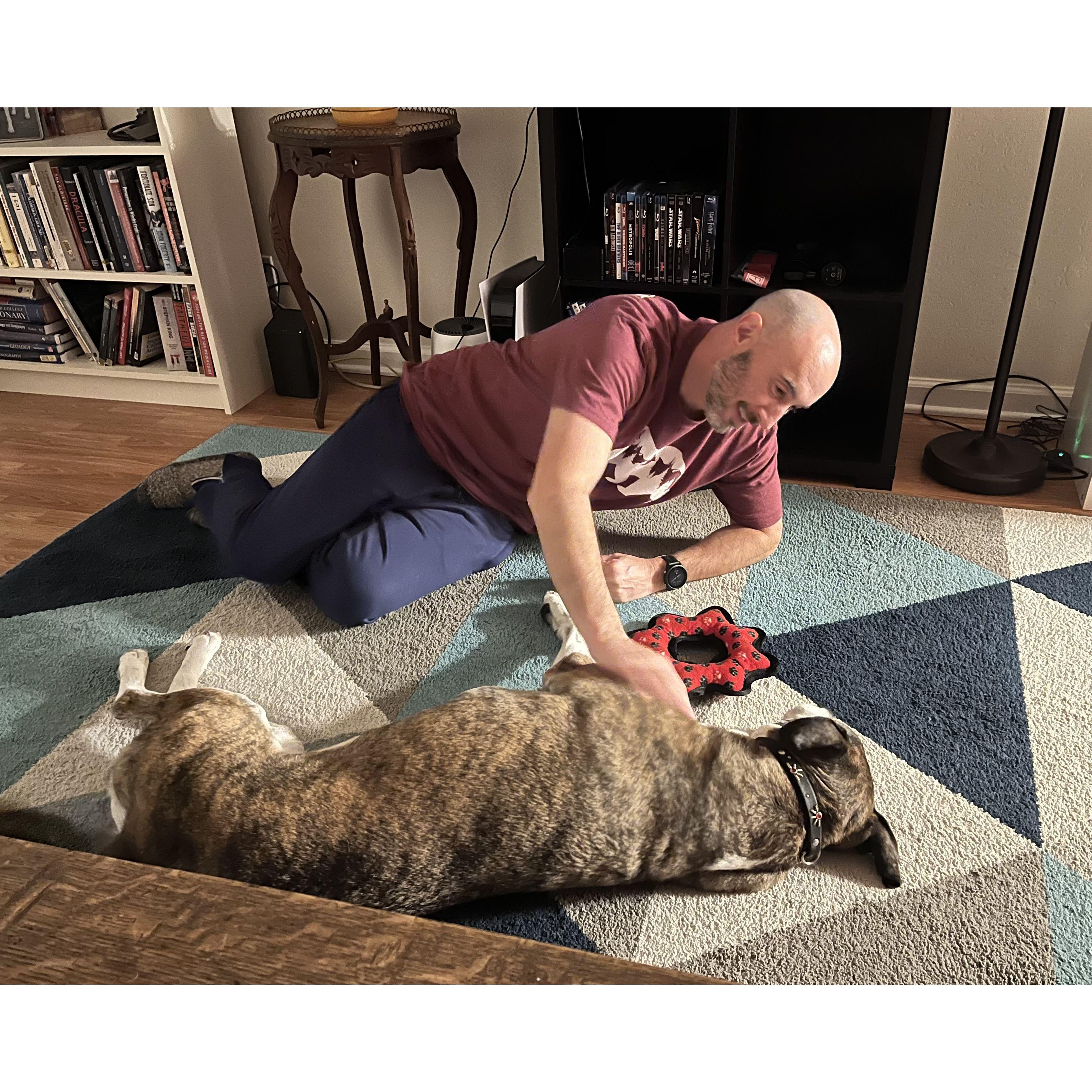 Nova gets a Dog Daddy