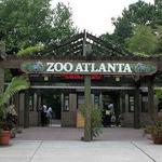 Zoo Atlanta