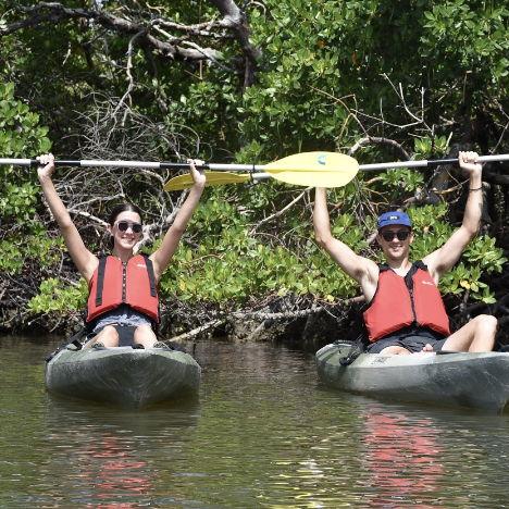 Kayaking the mangroves