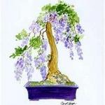 Wisteria Twig Cafe & Tea Room☕️🍰