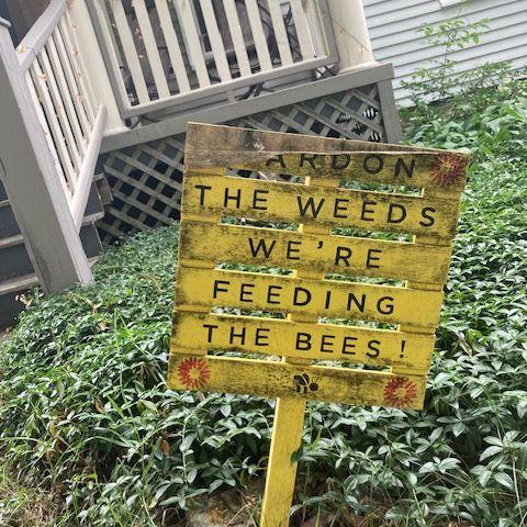 This was infront of the house where brandon walked into the Bee Nest the size of his head and Kat nursed him back to good health