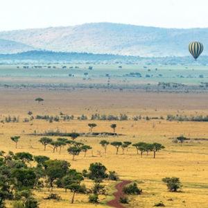 Safari Hot Air Balloon