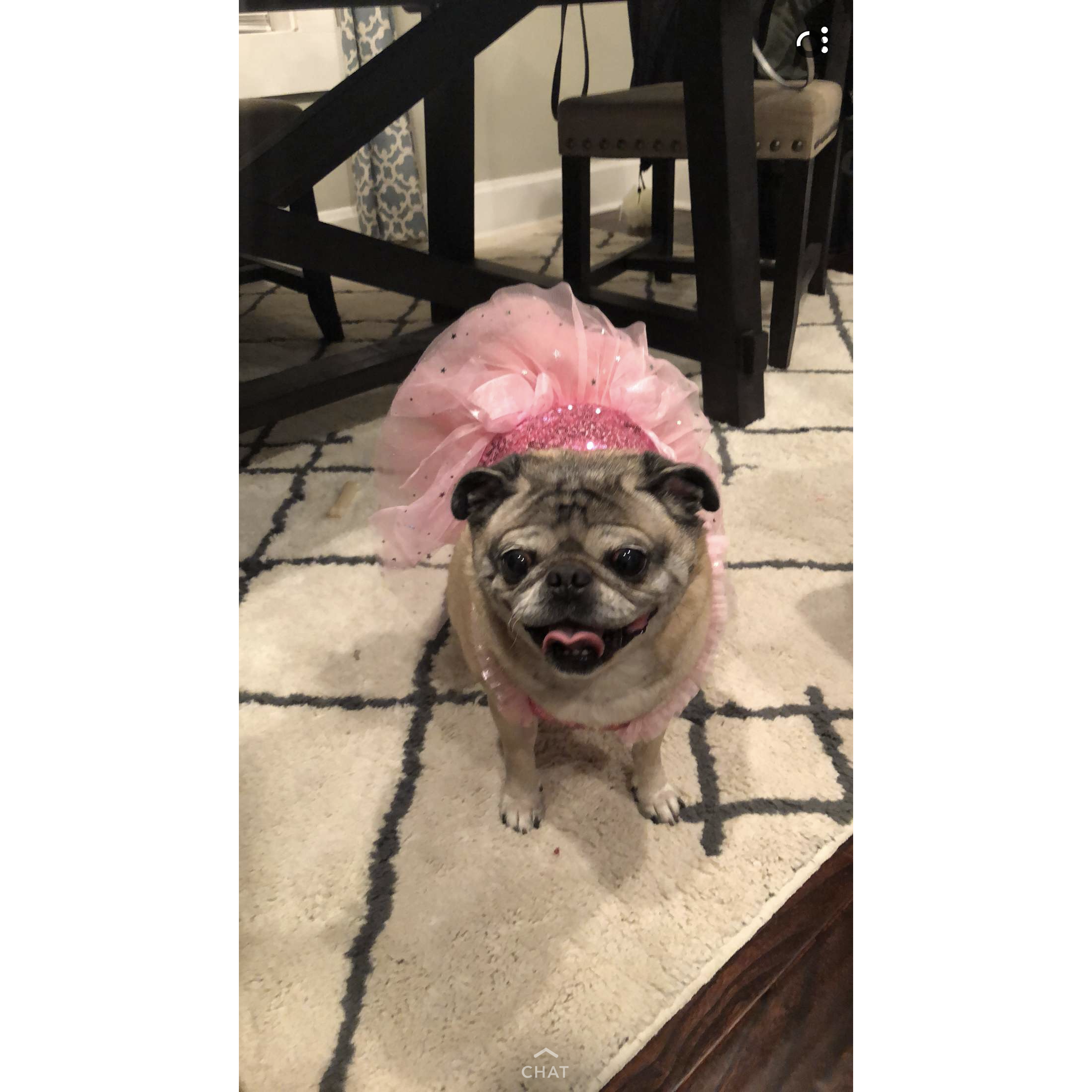 Our precious little Jazzie girl dressed up on our engagement night!