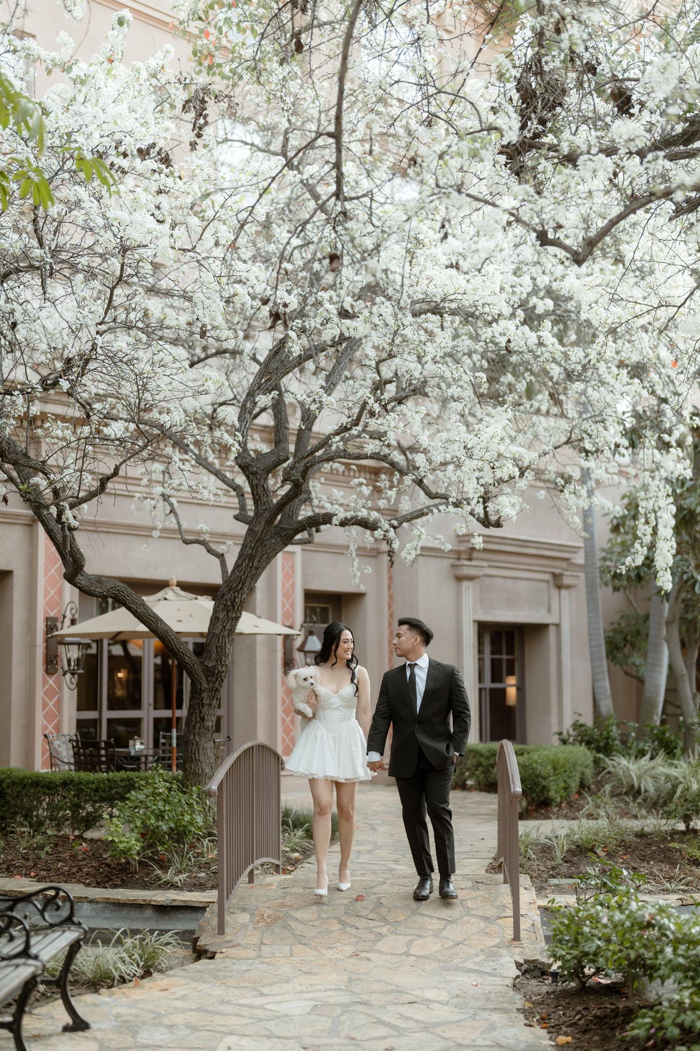 The Wedding Website of Julie Le and Skye Samilin