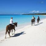 Horseback Riding