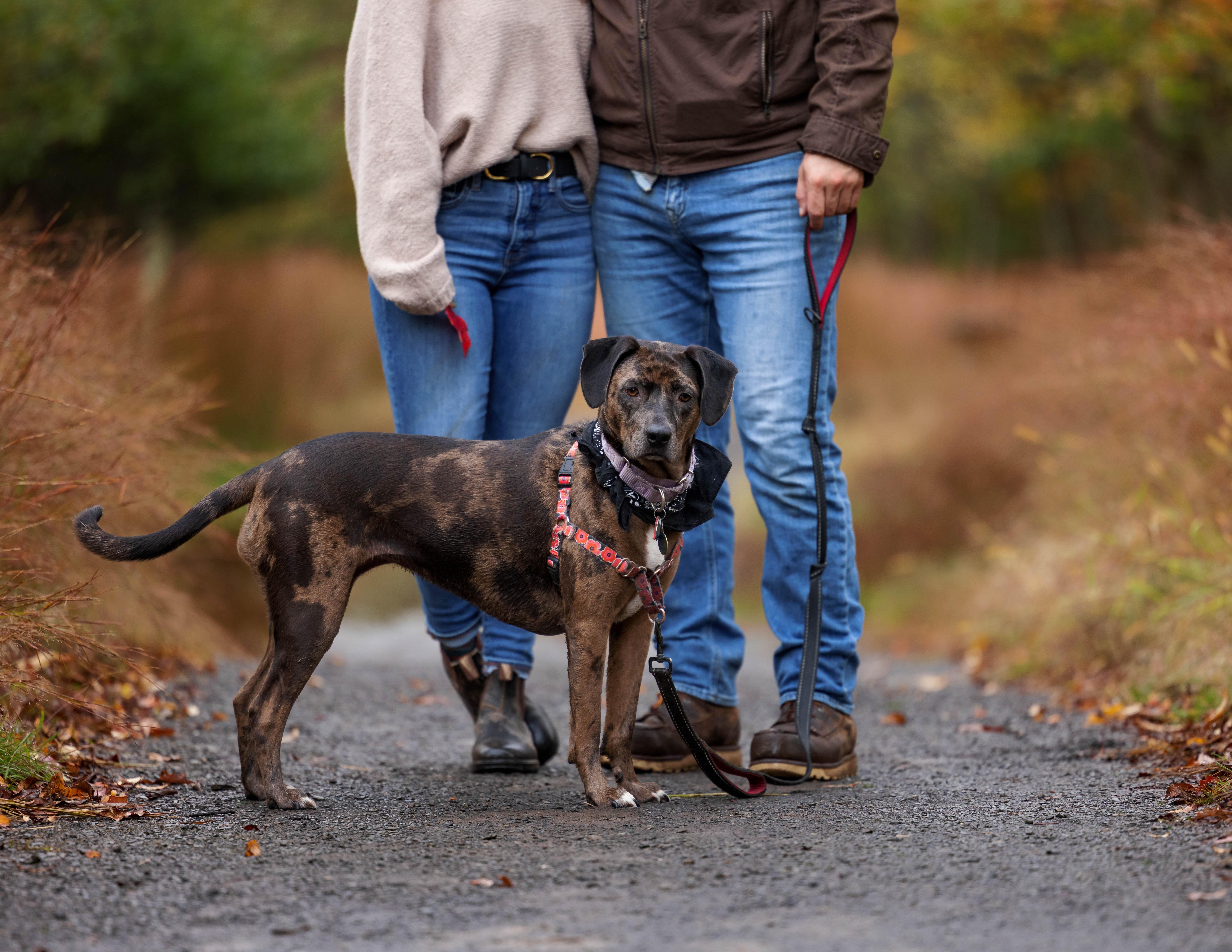 The Wedding Website of Aine Hardaker and James Rooney
