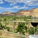 Palisade Wineries