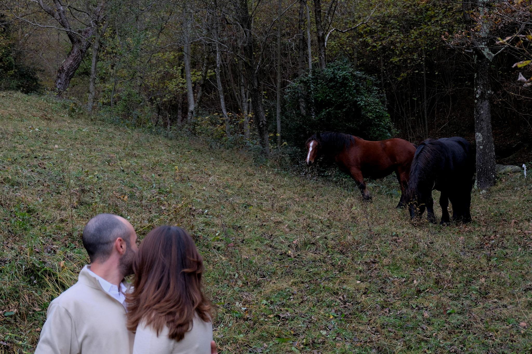 The Wedding Website of Noah Tucci-Schultz and Madeline Beach