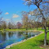Bruce Park