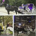 Central Park Horse Carriage Tours