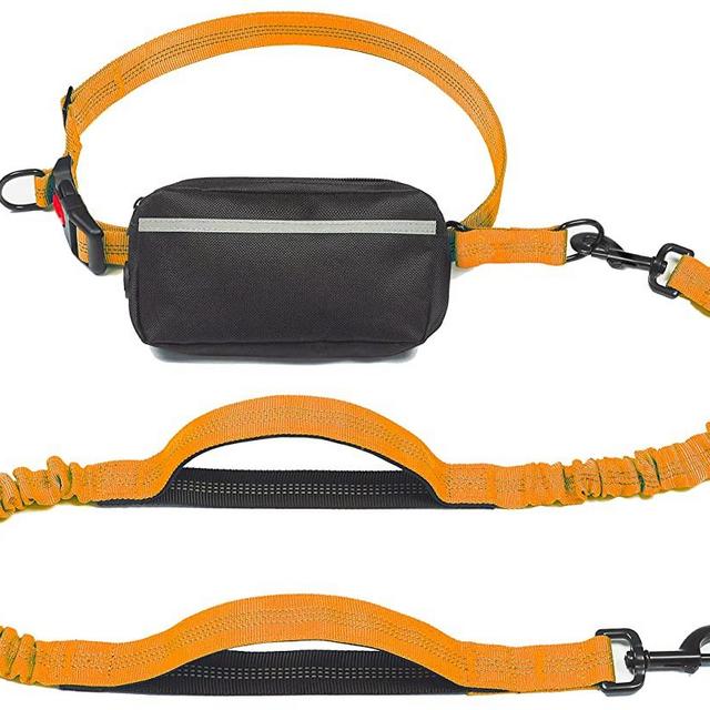 iYoShop Hands Free Dog Leash with Zipper Pouch, Dual Padded Handles and Durable Bungee for Walking, Jogging and Running Your Dog (Large, 25-150 lbs, Orange)