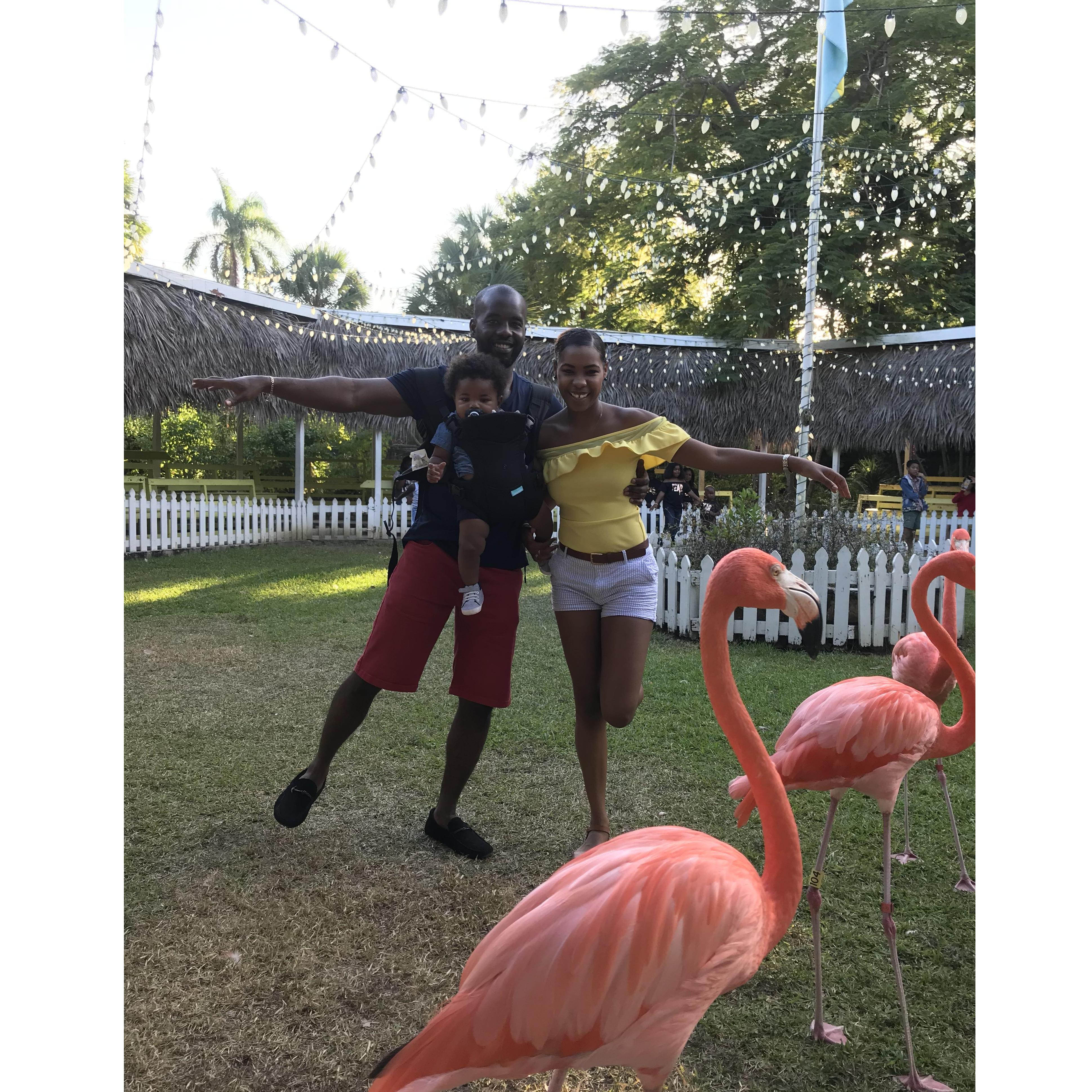 Channeling the inner Andros in Alvan