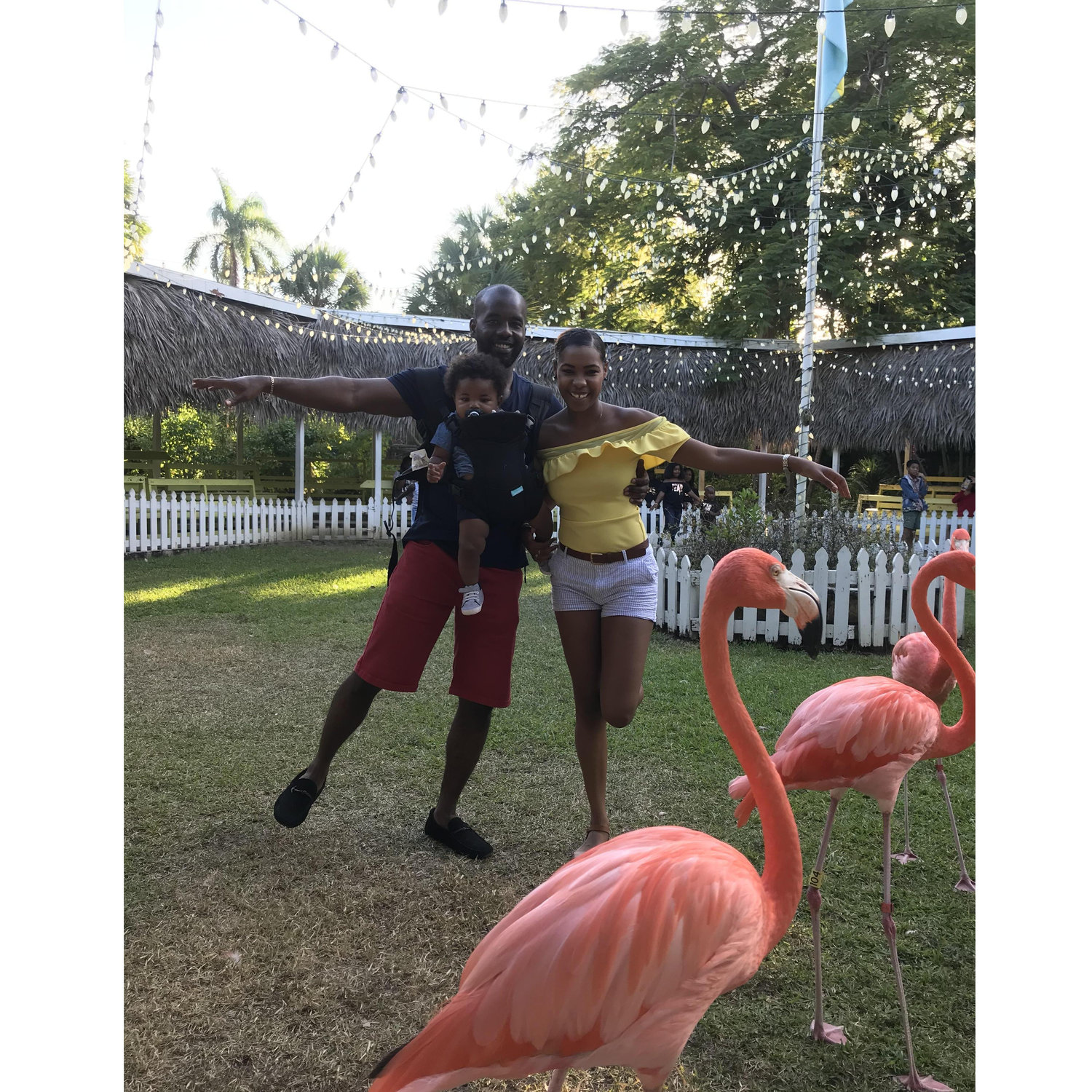 Channeling the inner Andros in Alvan