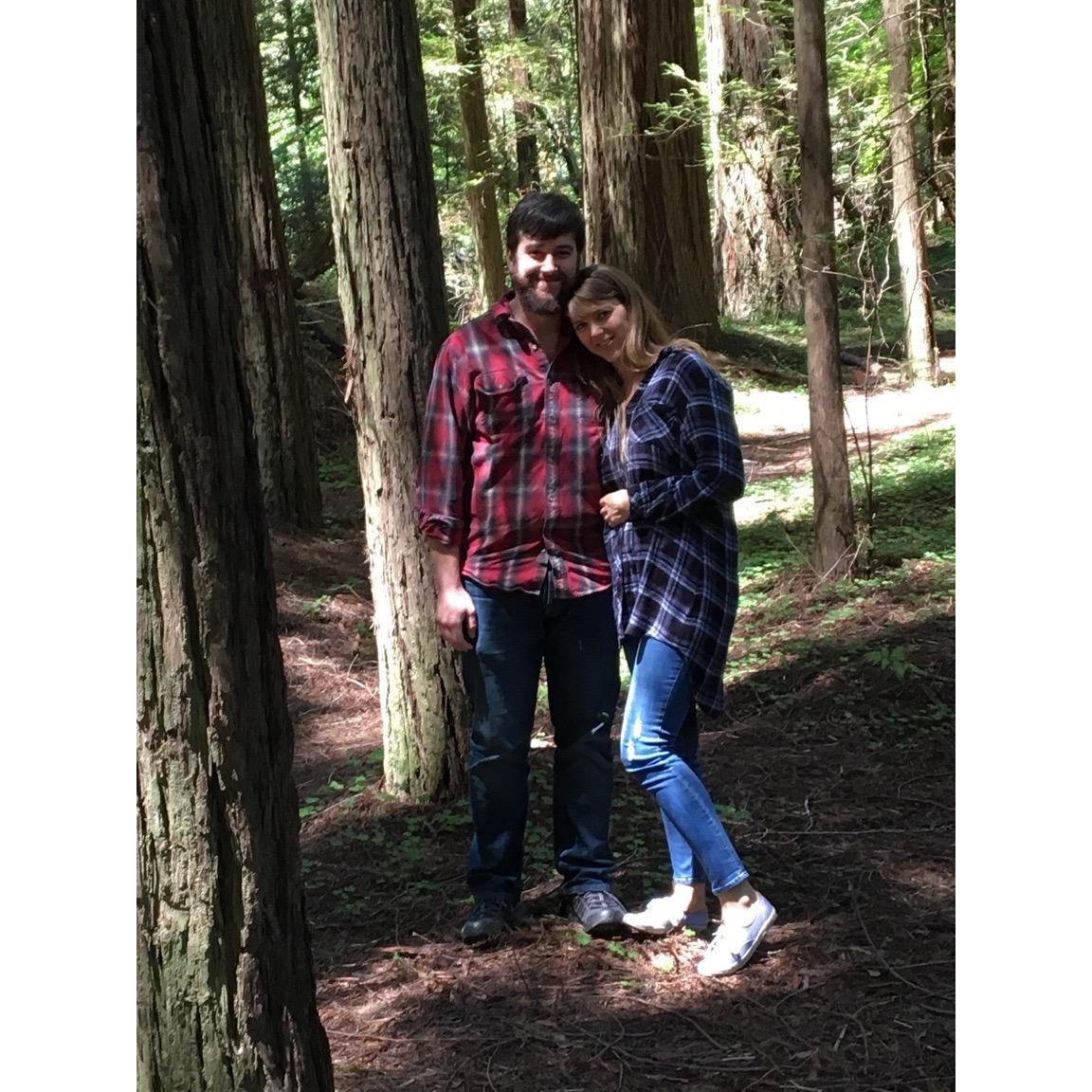 Exploring Northern California