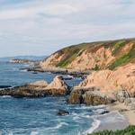 Bodega Head
