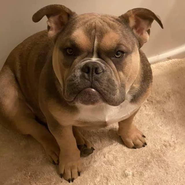 Our Son Boosie Boo