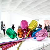 The Broad