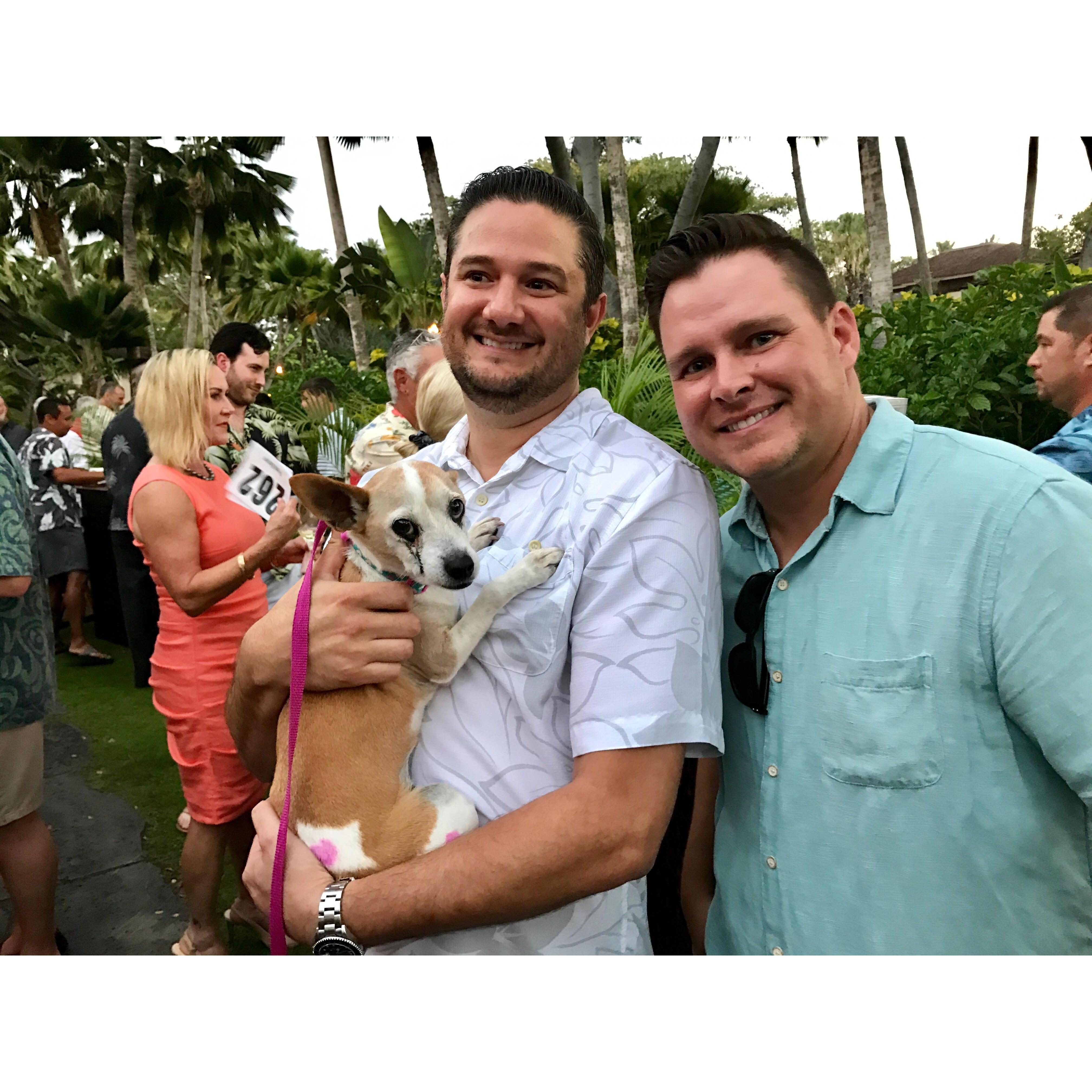 Bailey, Mike and Chad at a Hawaii Island Humane Society fundraiser