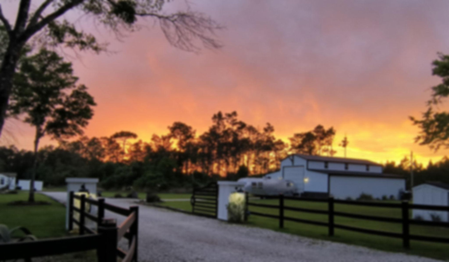 The Wedding Website of Summer (Alissa) Bryant and Cameron Shapiro