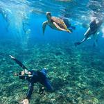 Lembongan Snorkeling Trips
