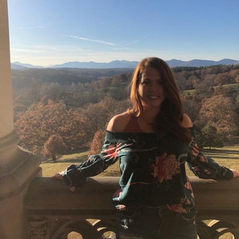 Mountains in every direction at the Biltmore Estate.