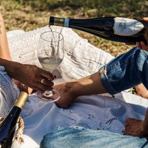 Wine tasting in Italy