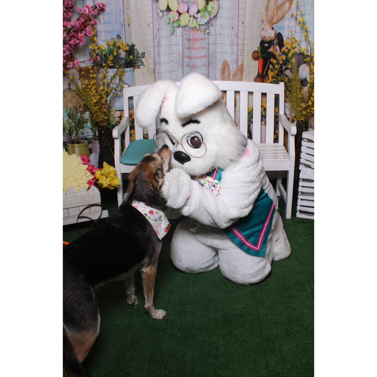 Pepper loves the Easter Bunny!