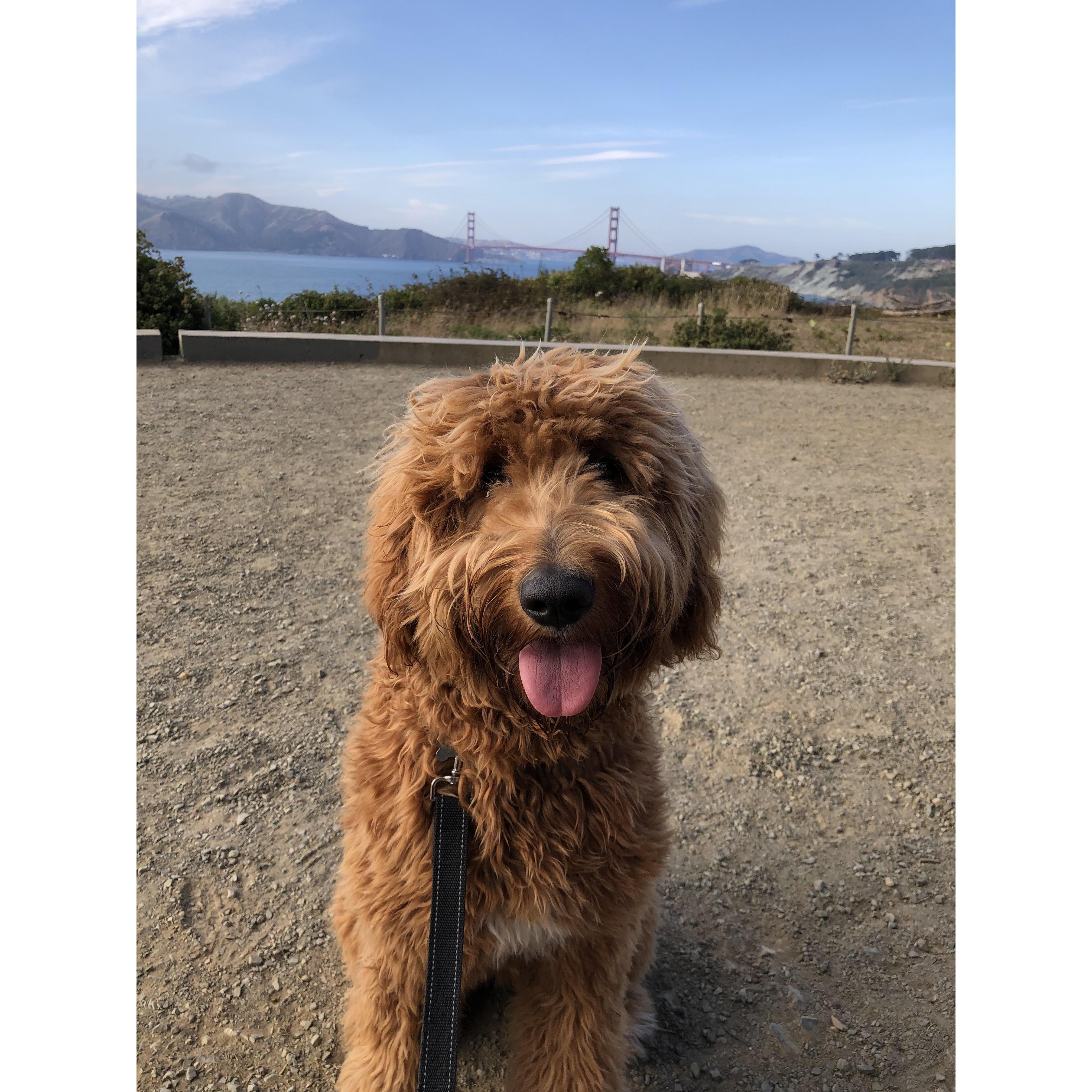 Legion of Honor, San Francisco 2019