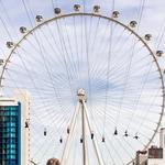 FLY LINQ: Zip Lining and Ferris Wheel