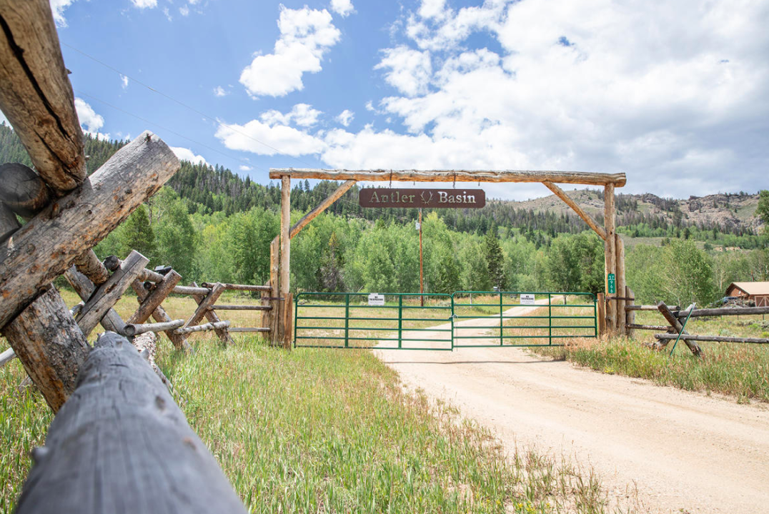 The Wedding Website of George Steffey and Sierra Levene