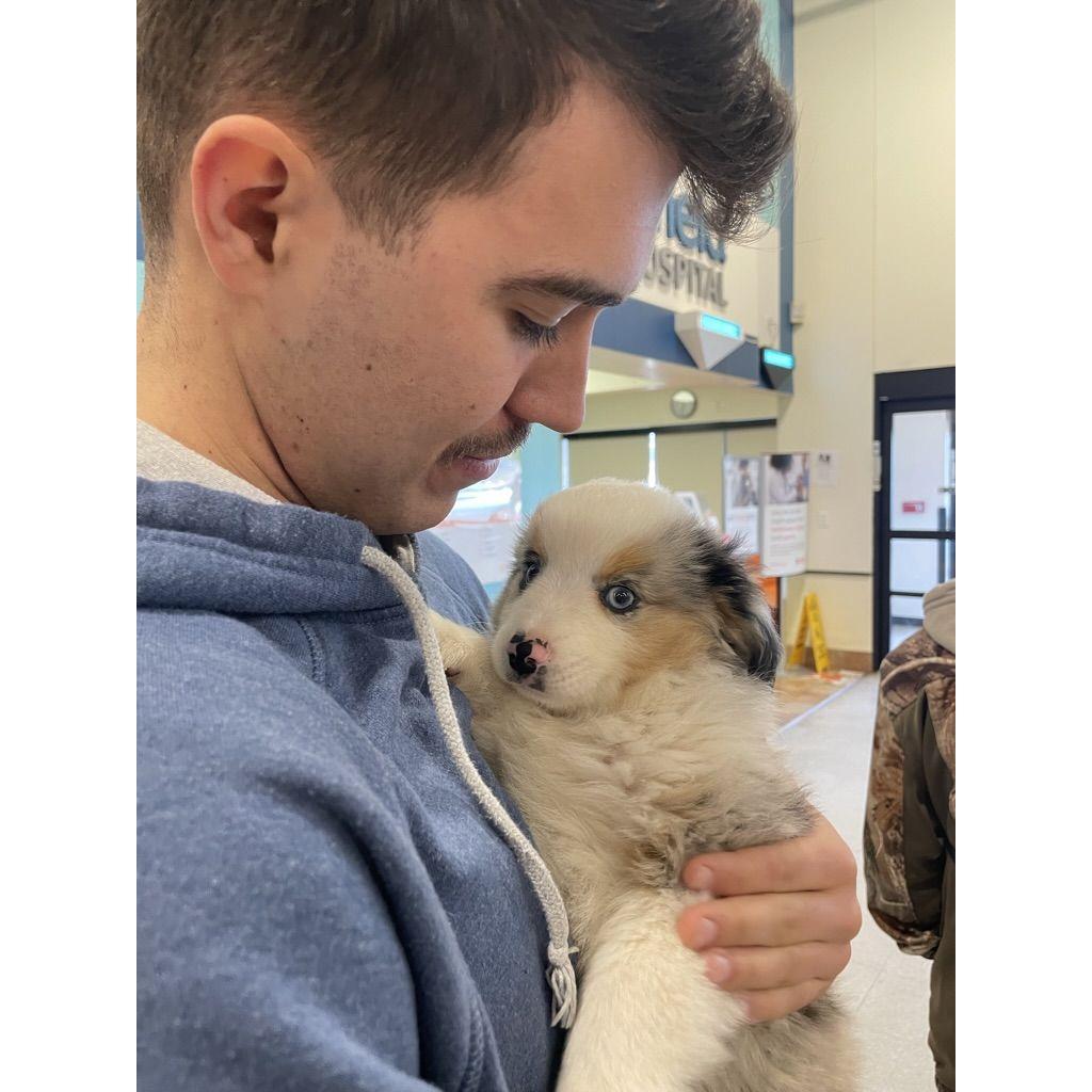 The day we got our baby, Goose!