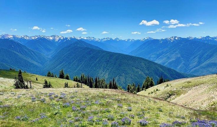 The Wedding Website of Colleen Farris and Zachariah Wilcox