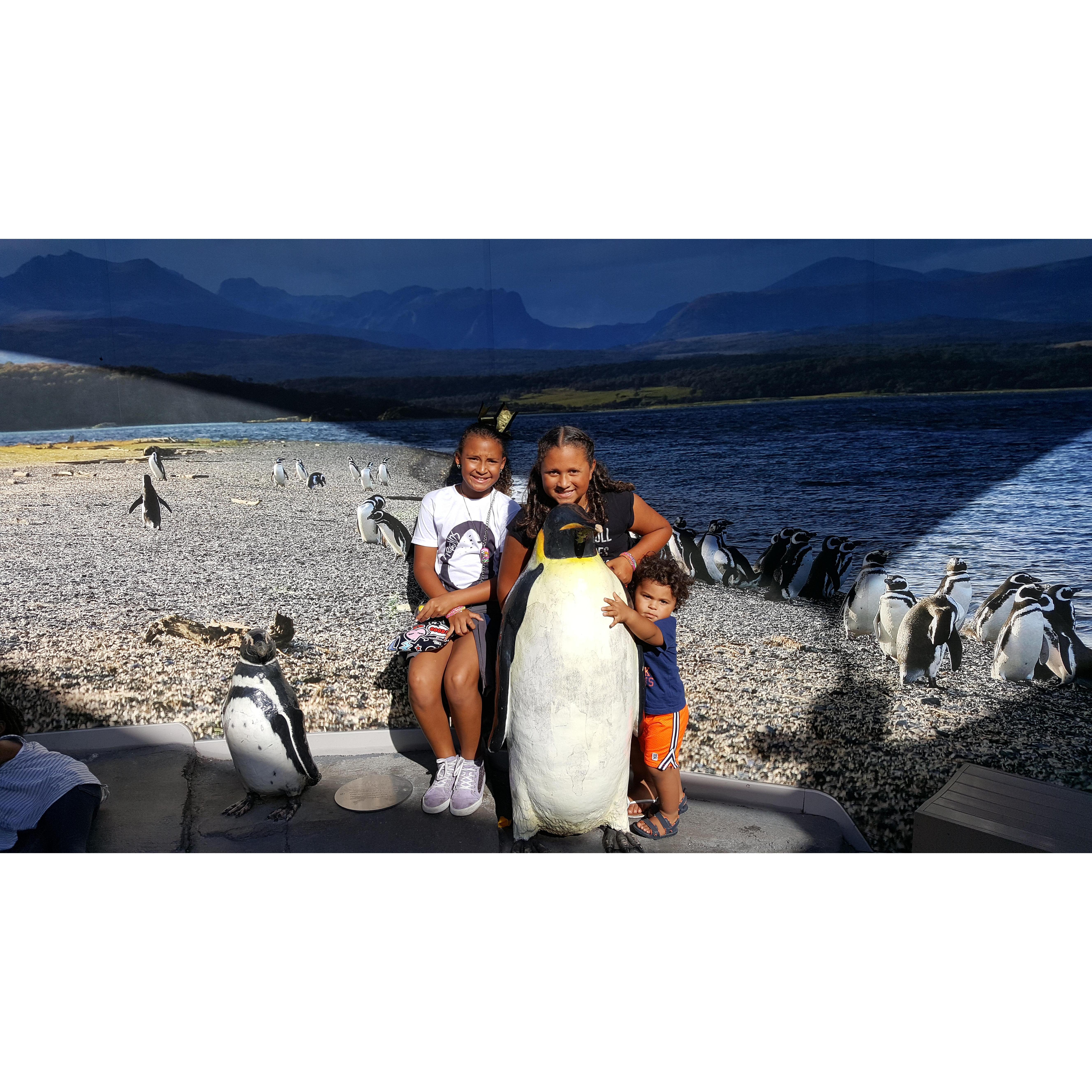 It was a chilly day...first time hanging out