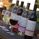 Weekend Wine Tasting