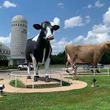 Southwest Dairy Museum