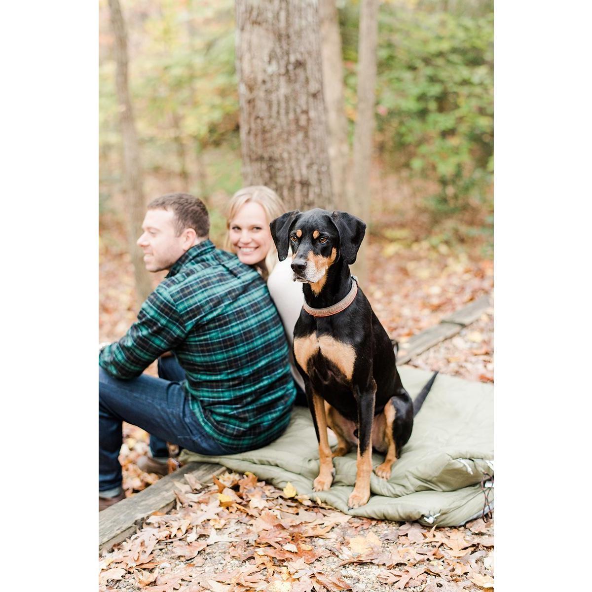 Engagement pictures from the amazing Kathryn Ivy!