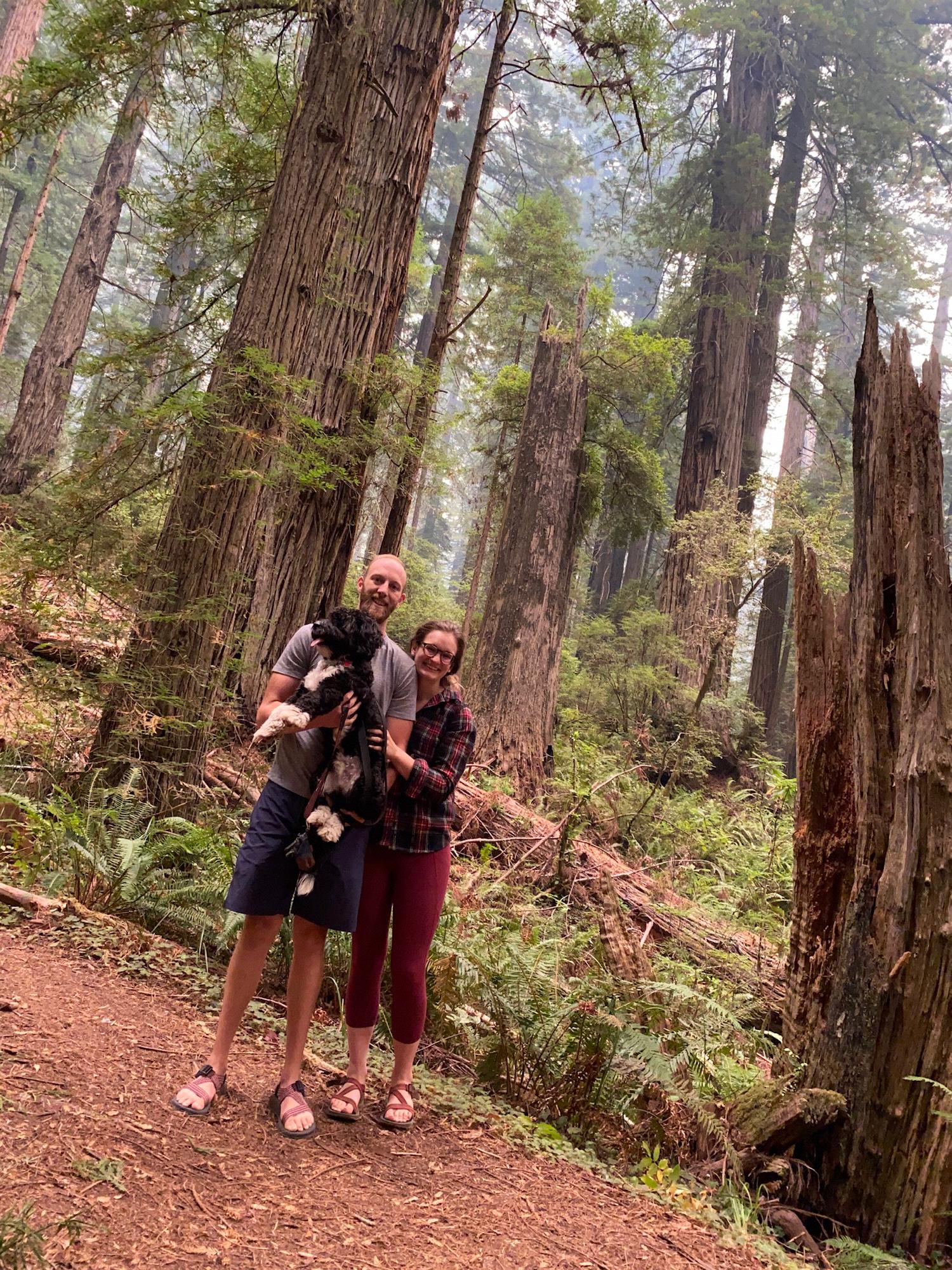 Teddy was confused by the Redwoods and why he couldn’t chew on them