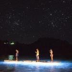 PaddleVision
