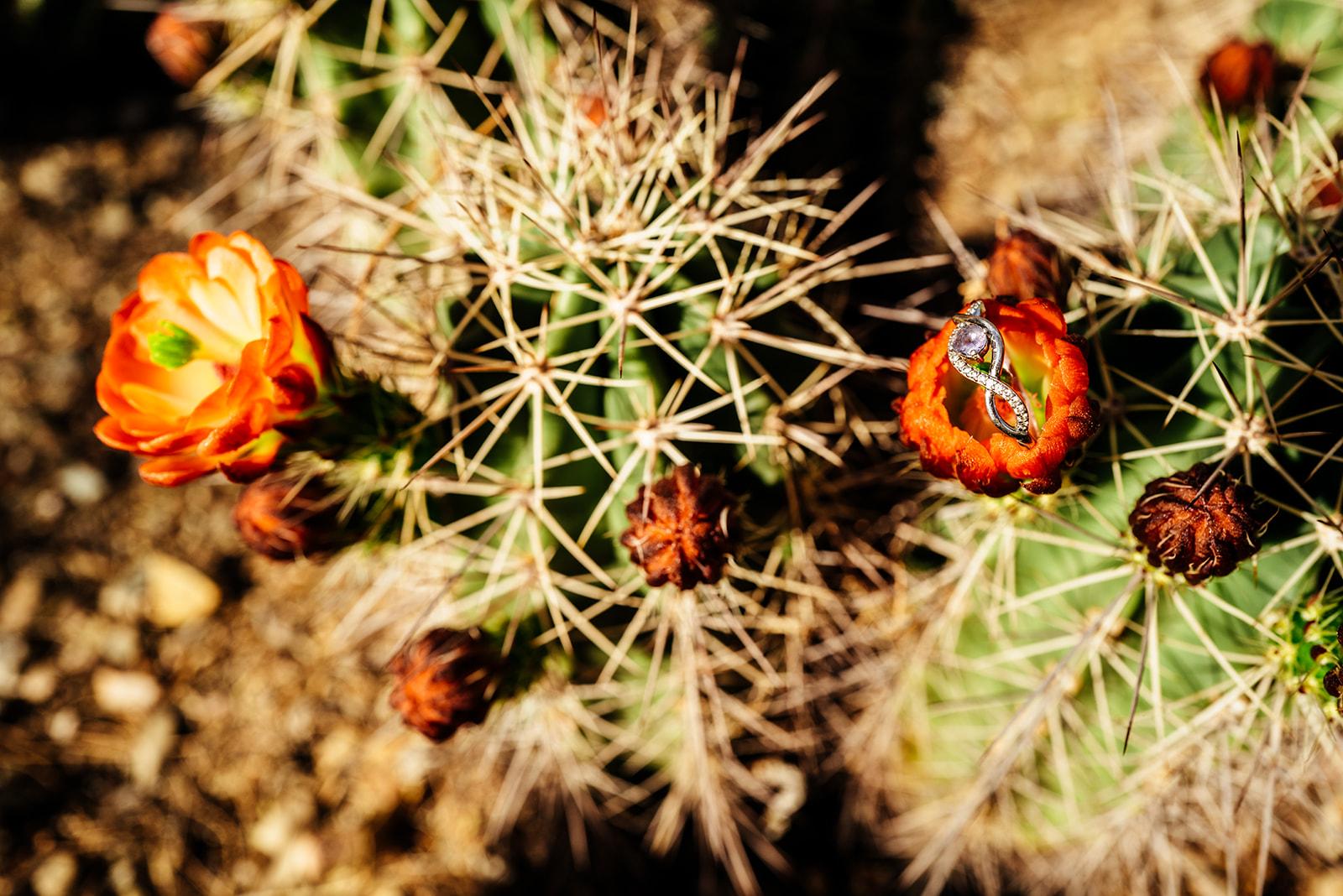 The Wedding Website of Lauren Fusilier and Kevin Guilfou