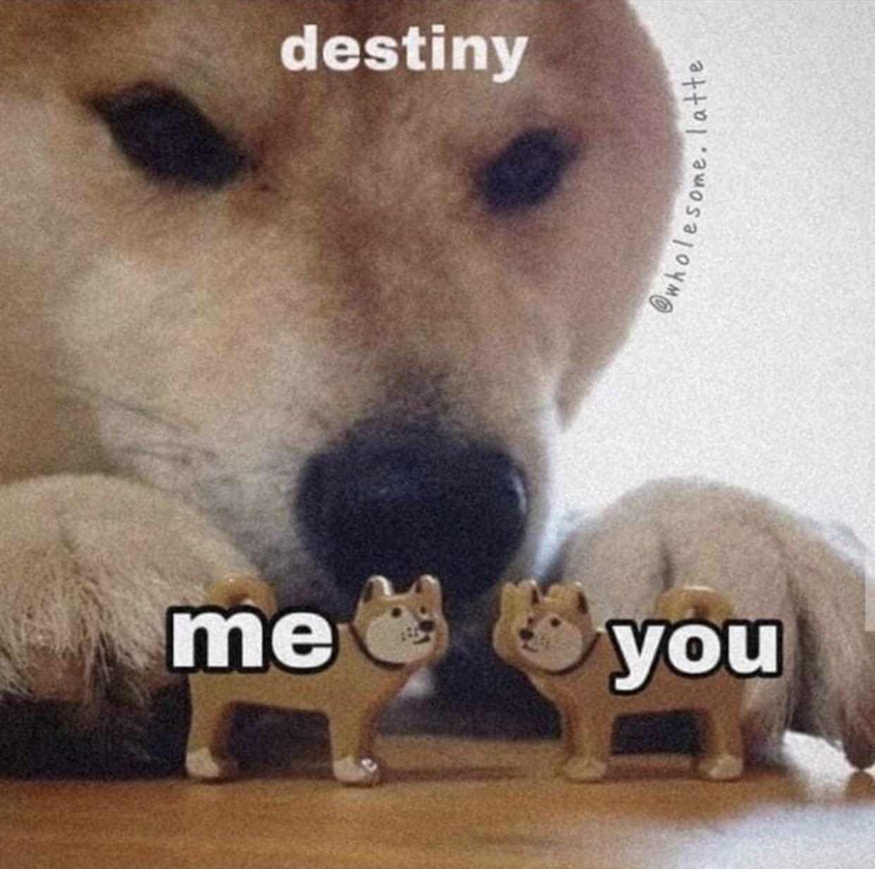 An example of the dumb cute love memes Mary sends Jesse sometimes [9/10]