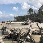 Driftwood Beach Trail