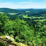 Mount Tom Hike (Faulkner Trail)