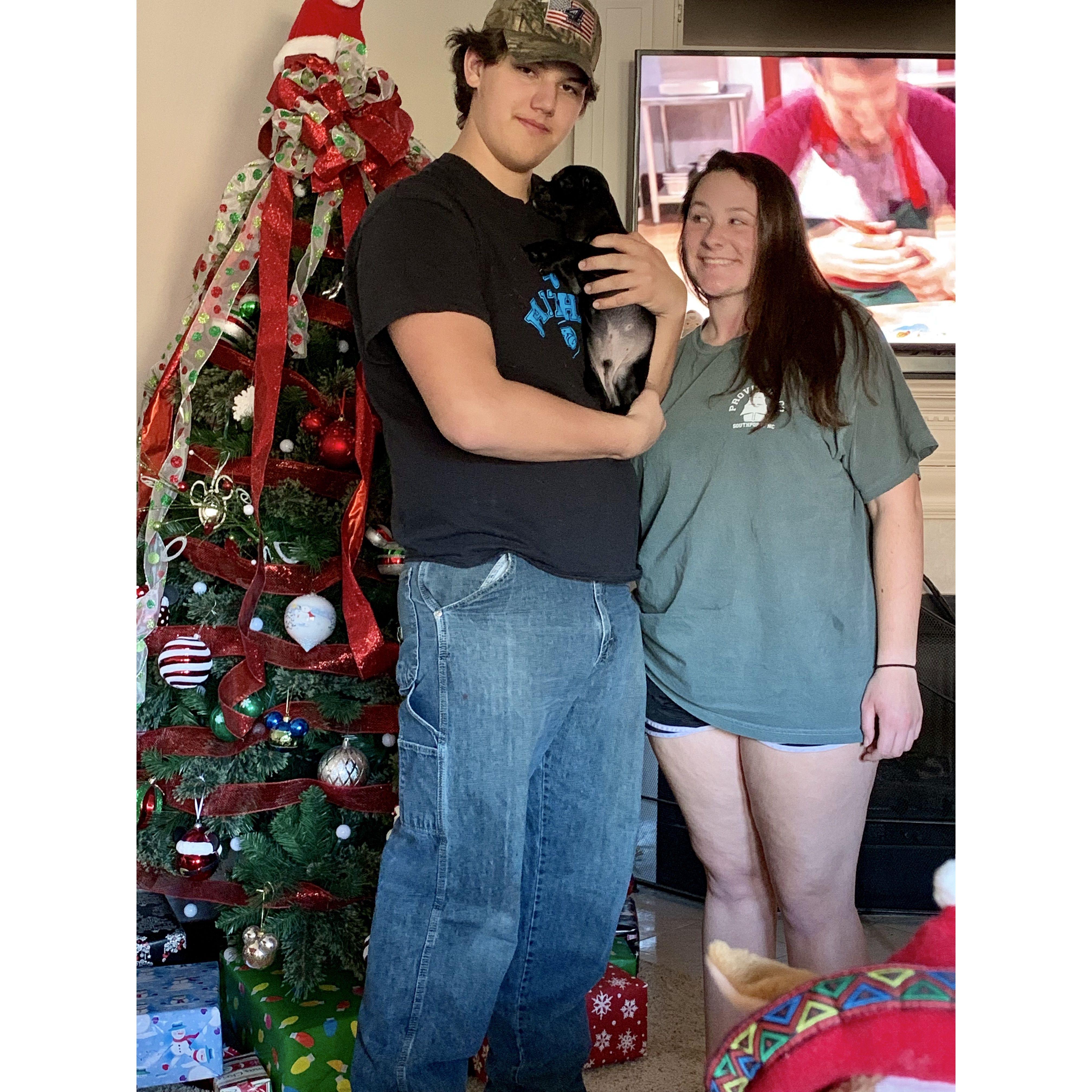 The day that Bo came into our lives!