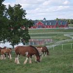 Warm Springs Ranch