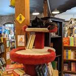 Wild Rumpus Books